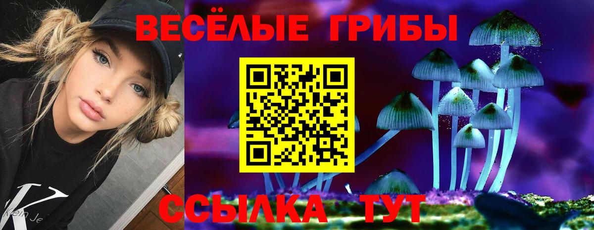 Галлюциногенные грибы MAGIC MUSHROOMS  Псилоцибиновые грибы MAGIC MUSHROOMS  Топки  Вход с VPN 